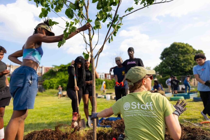 Community led tree stewardship resized