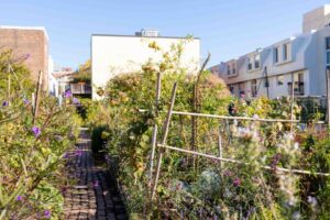 PHS South Street Community Garden resized