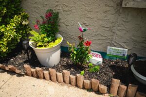 Urban Gardening resized